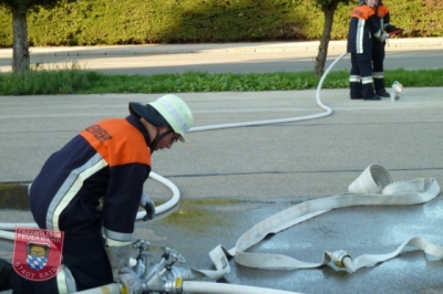 17. September 2010: Leistungsabzeichen Löschgruppe